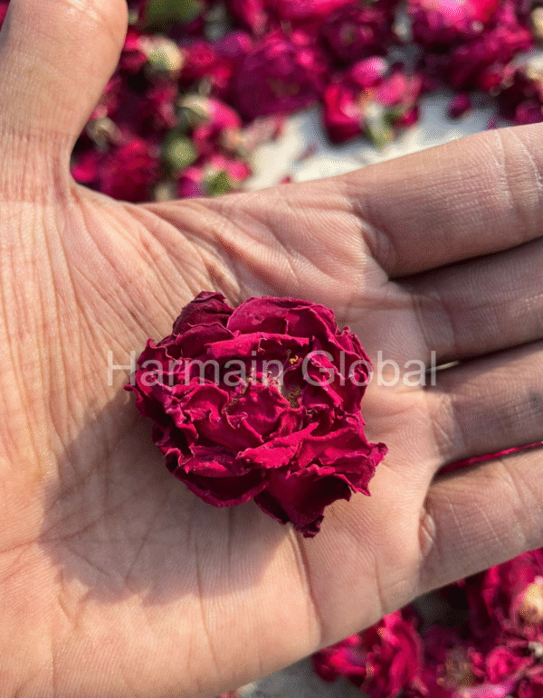 Dry Red Rose Flower