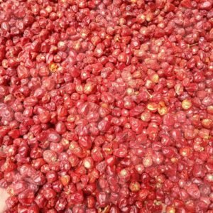 Whole Dried Red Round Chilli