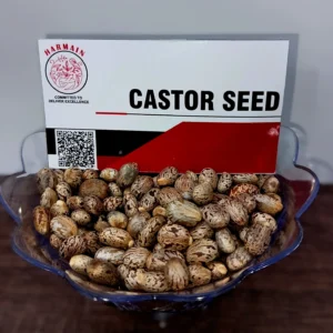 Natural, Premium Castor Seeds