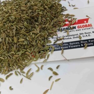 Premium fennel seeds for export supplied by Harmain Global