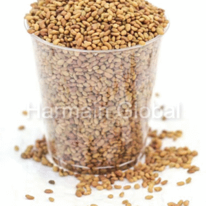 Alfalfa Seeds (Medicago Sativa)