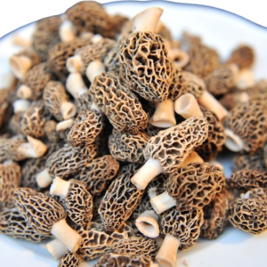 Dried Morel Mushrooms