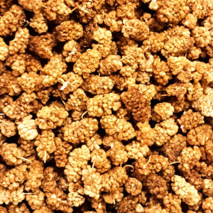 Dry Mulberry