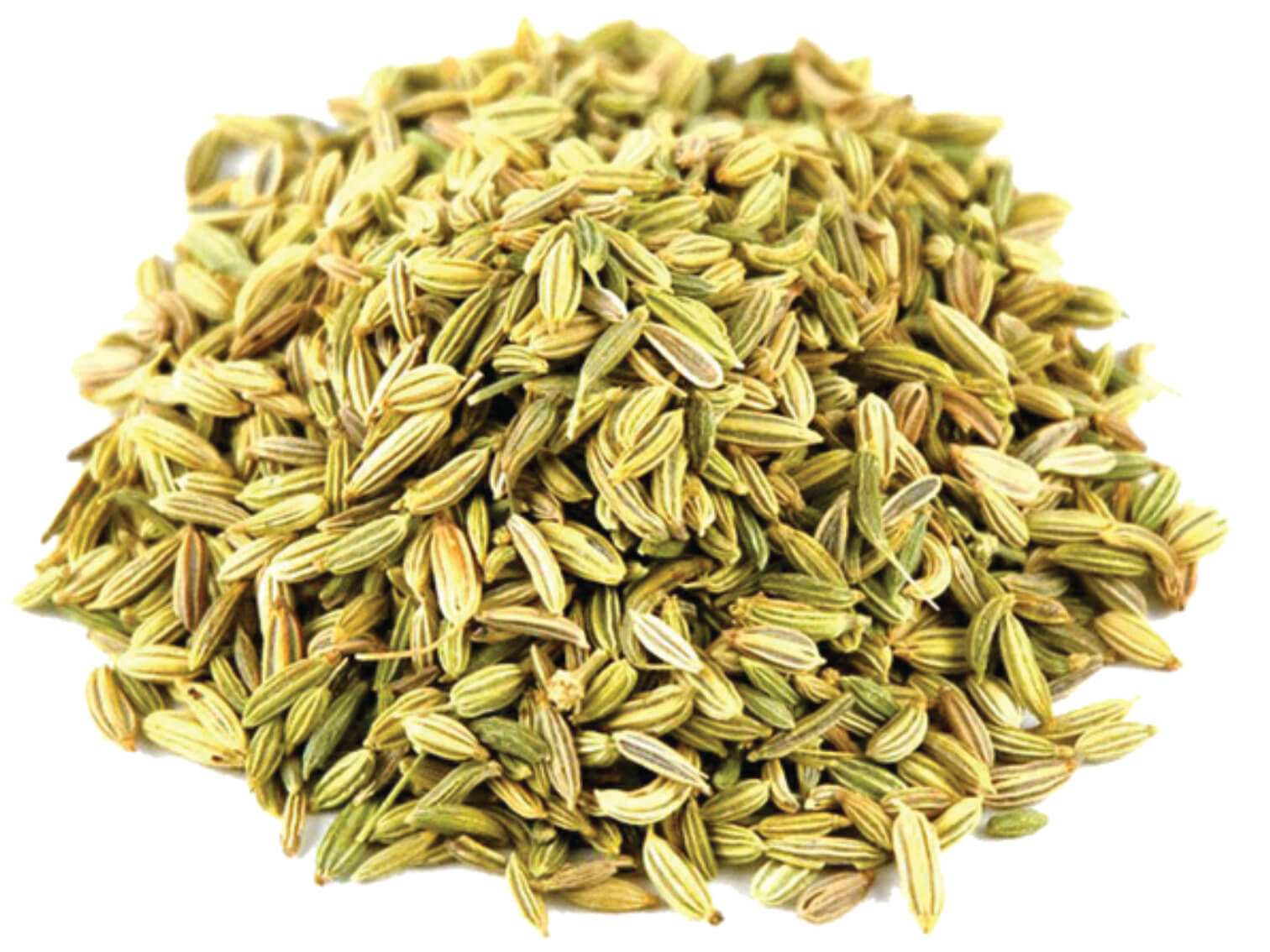 Fennel seeds – Harmain