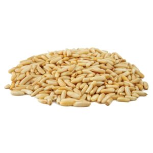 Pine Nut