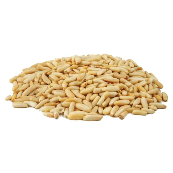 Premium organic pine nuts for bulk export hand-harvested from Himalayan forests certified Pakistan organic pine nut exporter Harmain Global