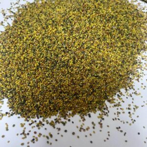 Trifolium Resupinatum Clover Seeds