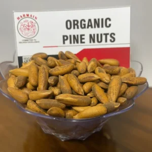 Organic Premium Pine Nut