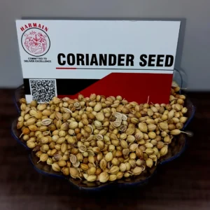 Premium coriander seeds