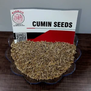 Cumin seeds exporter