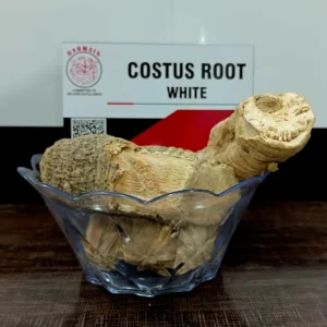 costus root white