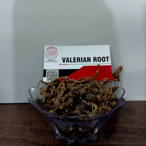 Premium export-grade Valerian Root, farm-sourced, cleaned, and hygienically packed