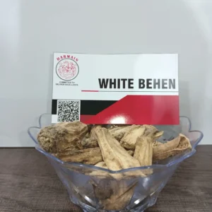 Premium export-grade White Behen / White Sage, farm-sourced, cleaned, and hygienically packed