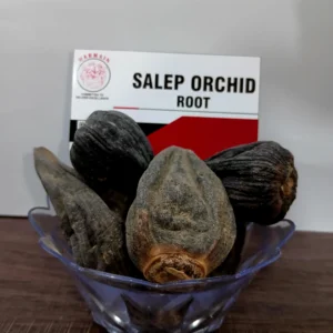 salep orchid root exporter