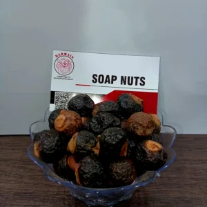 Premium export-grade Soap Nut, farm-sourced, cleaned, and hygienically packed
