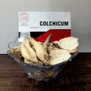 Colchicum exporter
