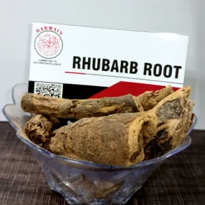 Premium export-grade Rhubarb Roots, farm-sourced, cleaned, and hygienically packed