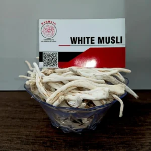 White musli for exporter