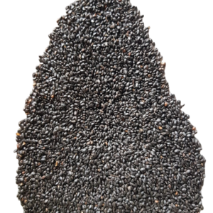 Basil Seed