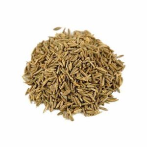 Carrot Seed