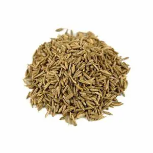 Carrot Seed