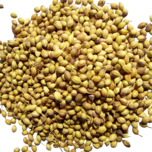 Coriander Seeds