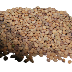 Guar Seed