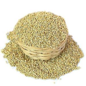 Millet / Pearl Millet