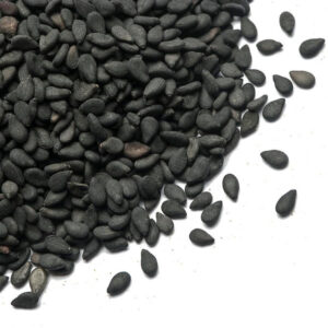 Onion Seed