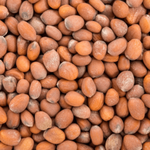 Radish Seeds