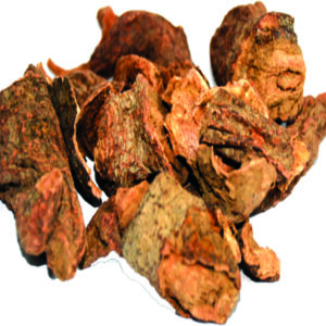 Red Sage, Garden Sage