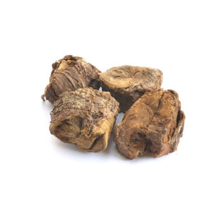 Rhubarb Roots