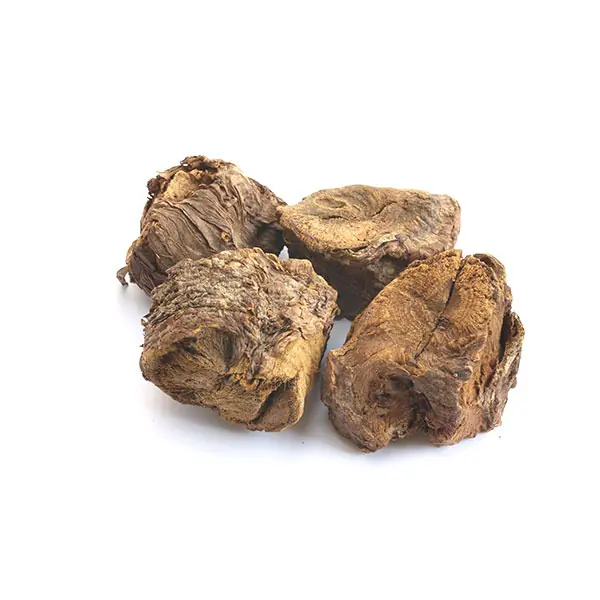 Premium export-grade Rhubarb Roots, farm-sourced, cleaned, and hygienically packed