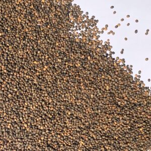 Rocket seed