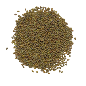 Sesbania Seed (Sesbania Grandiflora)
