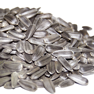 SunFlower Seed