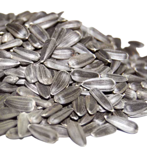 Premium export-grade Sunflower Seeds, farm-sourced, cleaned, and hygienically packed