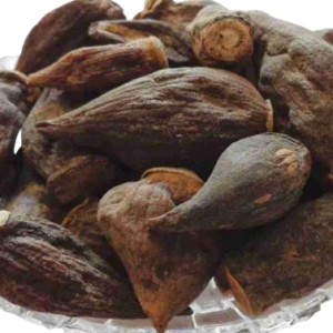 Salep Orchid Root