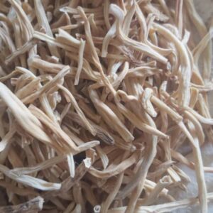 White Musli