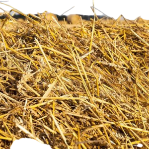 Wheat Straw