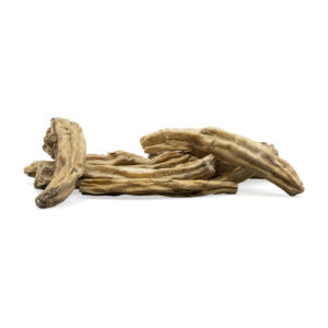 white Behen / White Sage