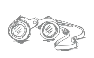 Our Vision