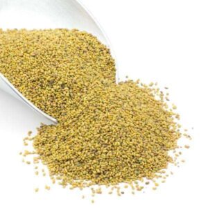 Alfalfa Seeds
