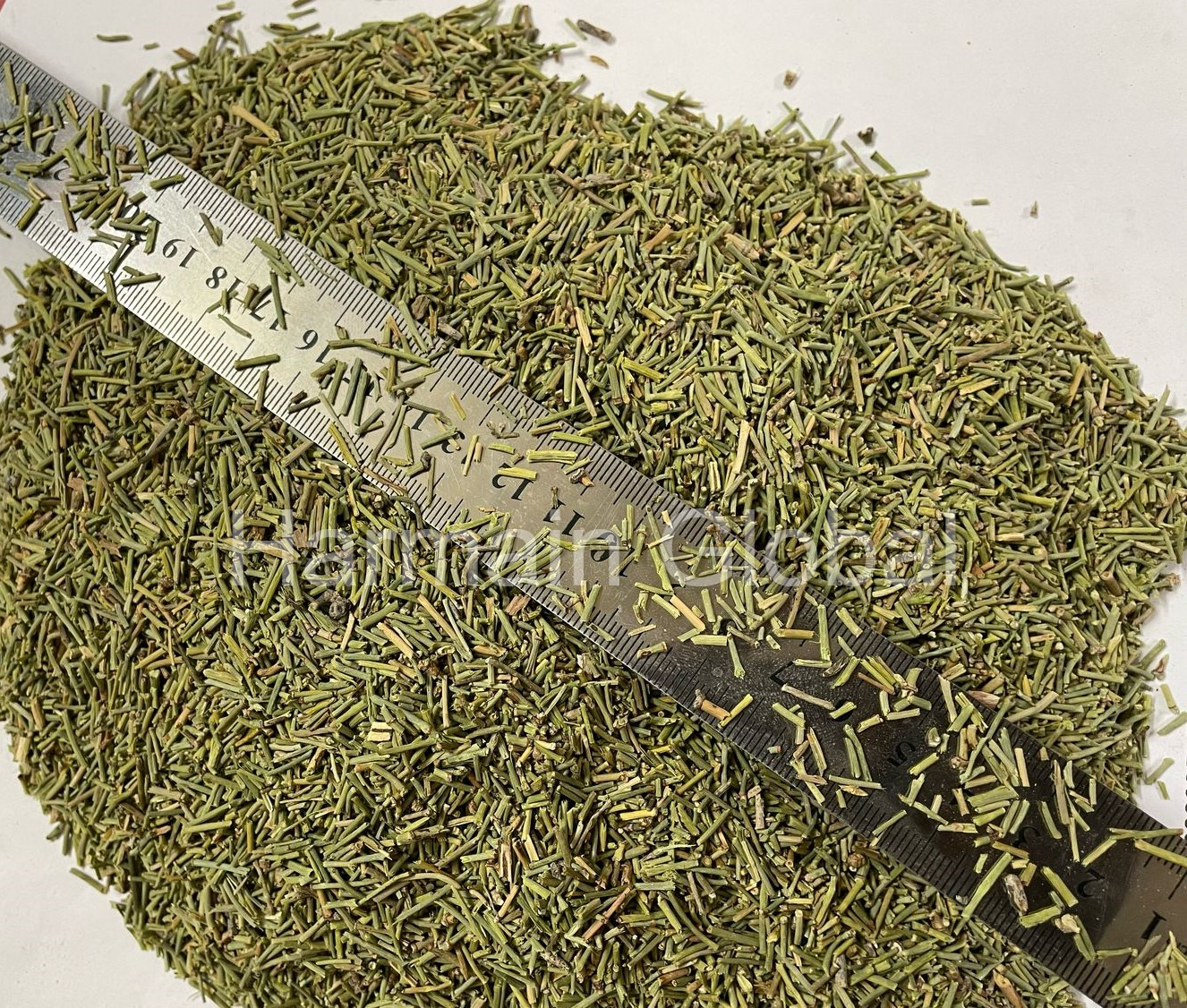 Ephedra Herb