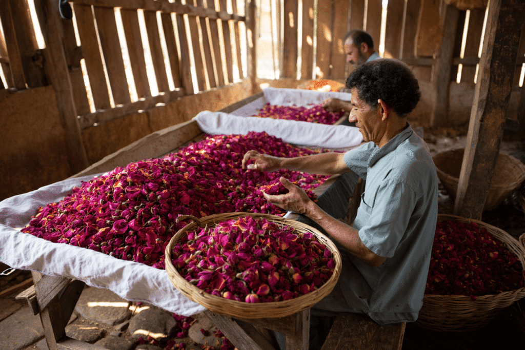 Harmain Global, Top Pakistani Herb Exporter