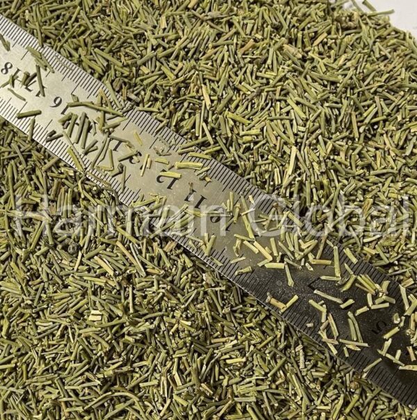 Ephedra Herb exporter
