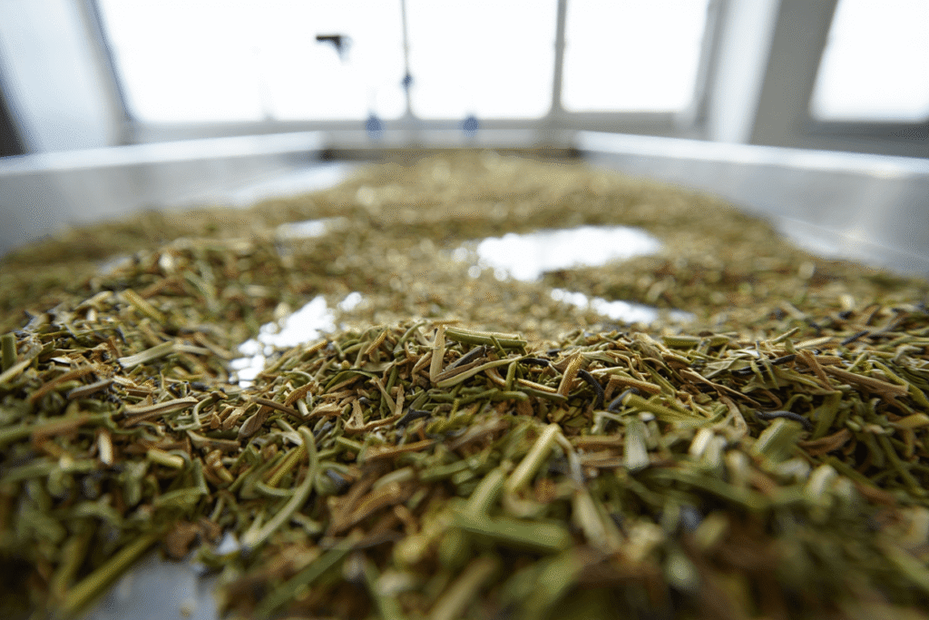 Harmain Global, Top Pakistani Herb Exporter