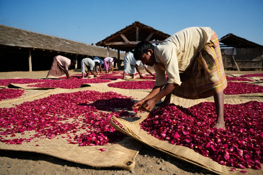 Harmain Global, Top Pakistani Herb Exporter