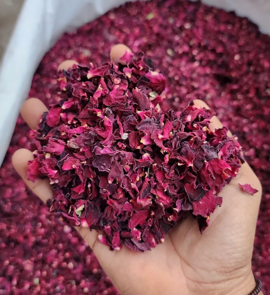 Dried rose