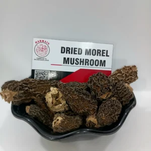 Dry Morel Mushrooms Exporter